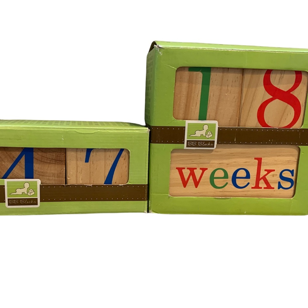 Milestone Blocks for Baby